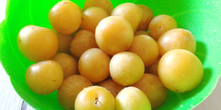 marmellata di susine gialle