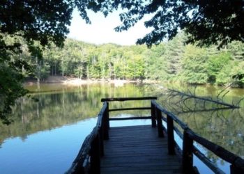 Laghetto d’umbra, il paradiso nella foresta