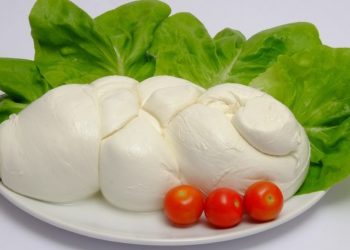 Tutto sulla mozzarella di bufala