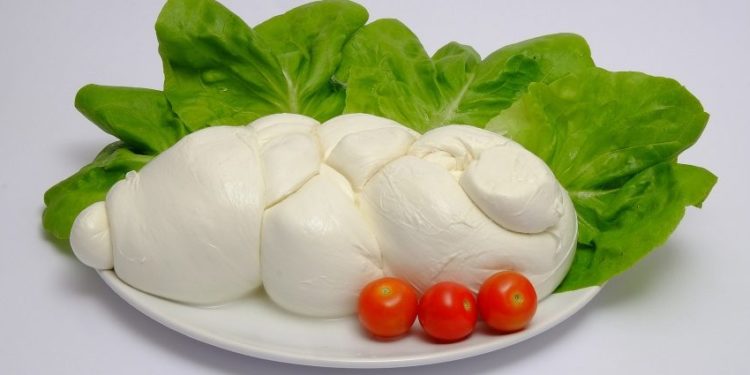 Tutto sulla mozzarella di bufala