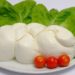 Tutto sulla mozzarella di bufala