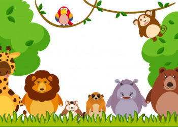 Zoo Safari di Fasano: un’esperienza per tutta la famiglia