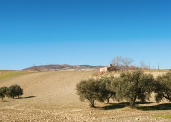 Di Bari a Manfredonia per dar vita a un progetto per la valorizzazione dei tratturi