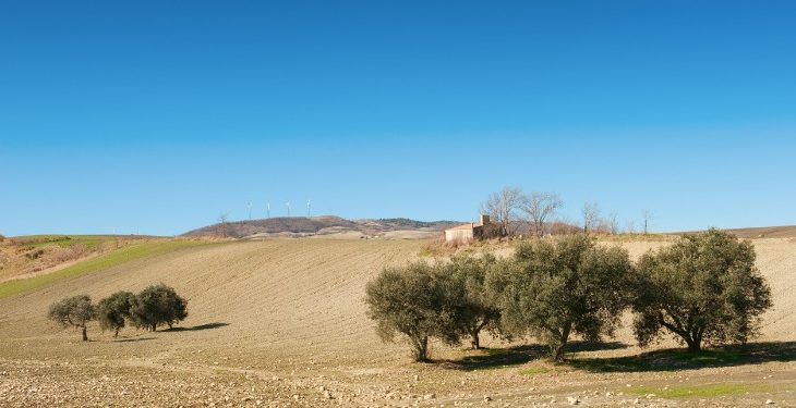 Di Bari a Manfredonia per dar vita a un progetto per la valorizzazione dei tratturi