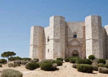 Nomina a consigliera delegata per le politiche culturali Grazia Di Bari: “Necessario l’ascolto degli operatori per dare nuovo impulso a uno dei settori più colpiti dalla pandemia”