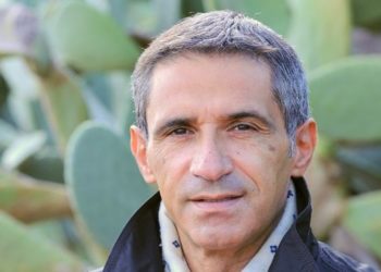 V Edizione della Banca delle Terre Agricole Ismea, Pentassuglia: “Opportunità per i giovani con 1.712 ettari all’asta in Puglia”