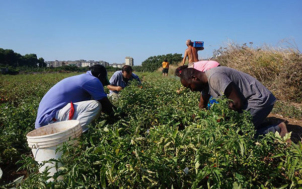 Sfruttamento lavorativo nelle campagne della Puglia, iniziativa a Nardò. Nell’ambito del Progetto Su.Pr.Eme. finanziato dalla Commissione Europea