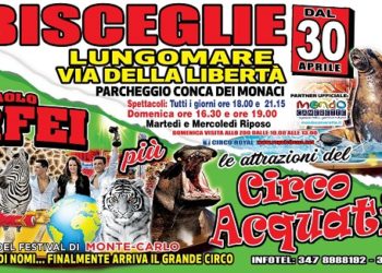 Bisceglie: Lo show da continuo sold out del Circo Paolo Orfei nell’amata Puglia