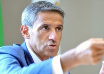 Piano di rigenerazione olivicola, Pentassuglia: “E’ in fase di avanzata. Pronte soluzioni innovative per favorire espianto ulivi in zona infetta”