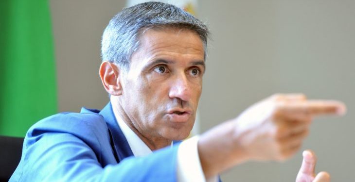 Piano di rigenerazione olivicola, Pentassuglia: “E’ in fase di avanzata. Pronte soluzioni innovative per favorire espianto ulivi in zona infetta”