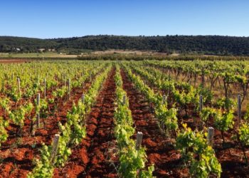 Furti nella campagne: le azioni regionali di prevenzione e contrasto