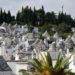 UNA PUGLIA CHE RINASCE