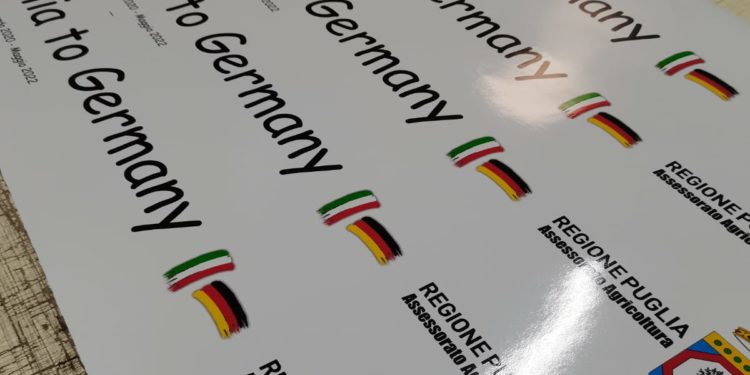 Il Primitivo di Manduria in un tour internazionale su auto d’epoca: il 21 maggio la conf stampa di presentazione dell’evento