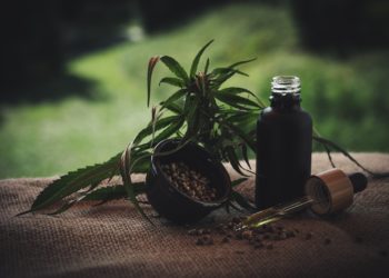 CBD: tutto ciò che c’è da sapere