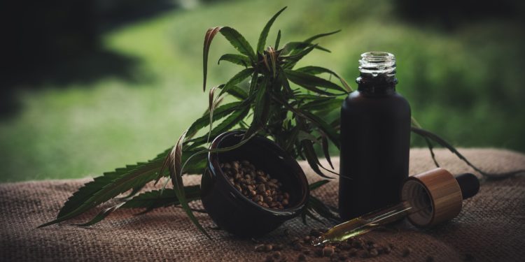 CBD: tutto ciò che c’è da sapere
