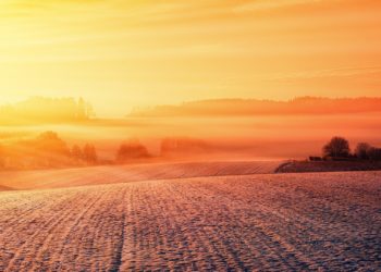 Caldo rovente, ecco il decalogo per salvare l’orto