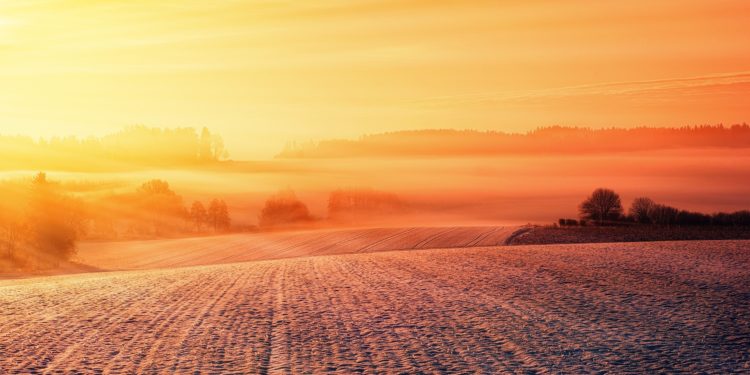 Caldo rovente, ecco il decalogo per salvare l’orto