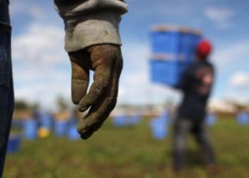 Contrasto al caporalato e investimenti strutturali: dal PNRR 114 milioni di euro alla Puglia