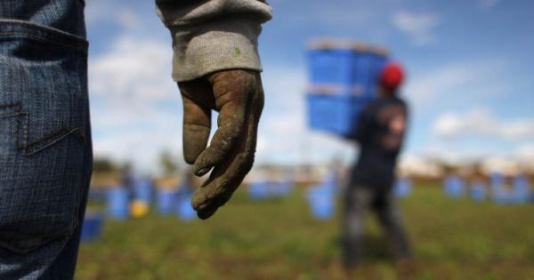 Contrasto al caporalato e investimenti strutturali: dal PNRR 114 milioni di euro alla Puglia