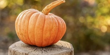 Ricetta Cake di zucca